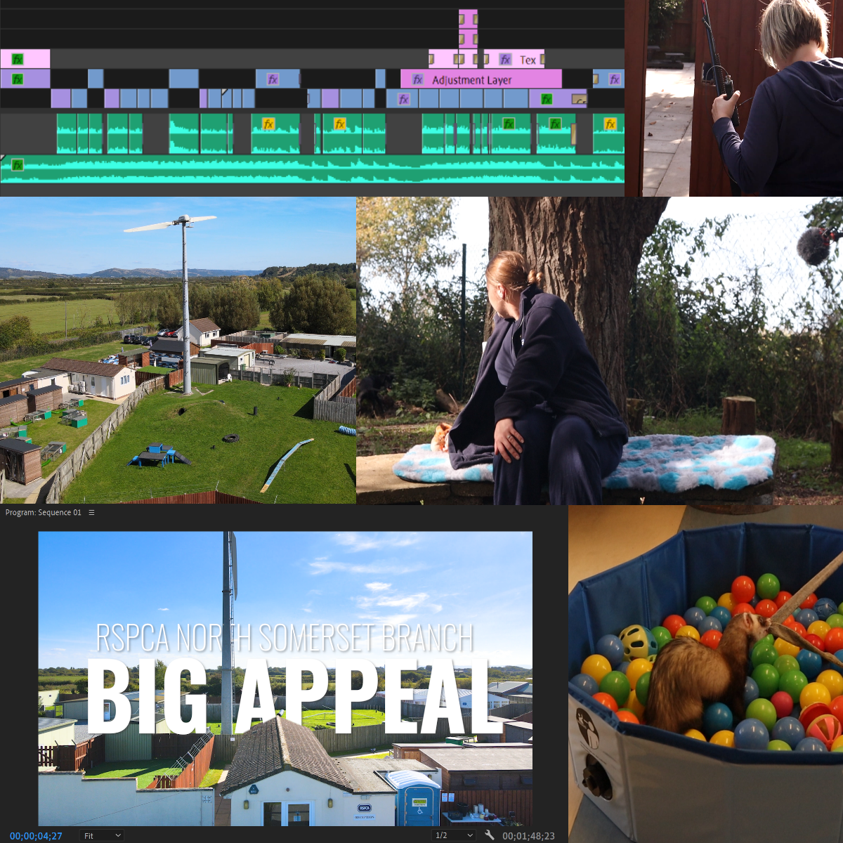 A collage of images from our promotional video shoot for RSPCA North Somerset Branch.